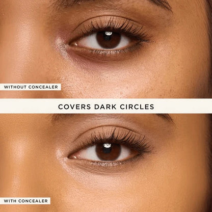 Precision Concealer Stick & Brush Set — Your Makeup, Perfected